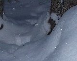 02-1-footsteps.jpg (5262 bytes)