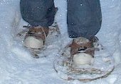 snowshoes