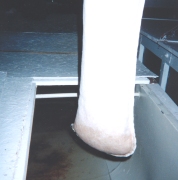 feltfilter