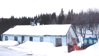 mapleshack