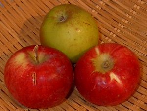 apples