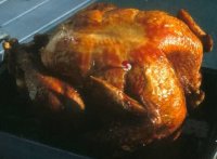 turkey