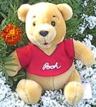 winnie