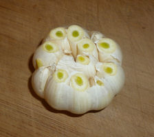 ɂɂ