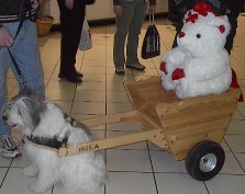 cart