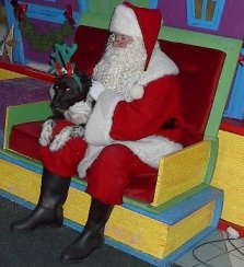 santa_tabi