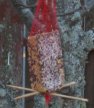 birdcake