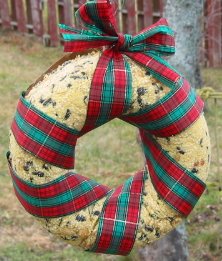seedwreath