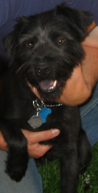 coby