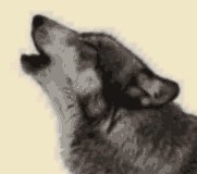 ���i��