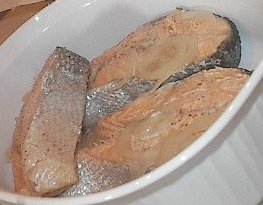 salmon