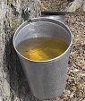 sirop_d'erable