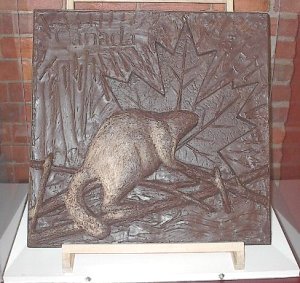 beaver