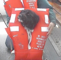lifejacket