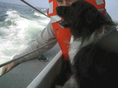 whalewatching