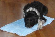 coolmat